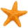 Seastar - $10